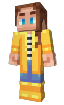 Minecraft skin Decorated