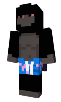 Minecraft скін по ніку 2842