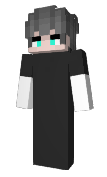 Minecraft skin ipdf