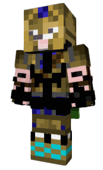 Minecraft skin Gris_