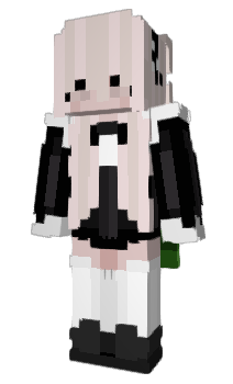 Minecraft skin Evolu