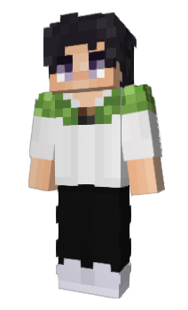 Minecraft skin Sashapoiunj