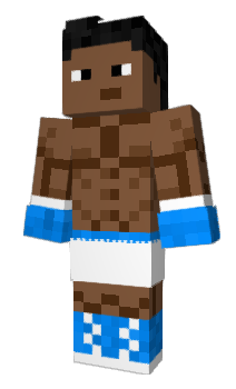 Minecraft skin NikiNikole