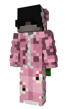 Minecraft skin w2sh