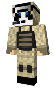 Minecraft skin Somecat