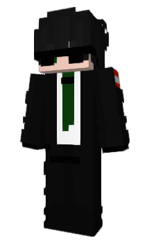 Minecraft skin zJunky