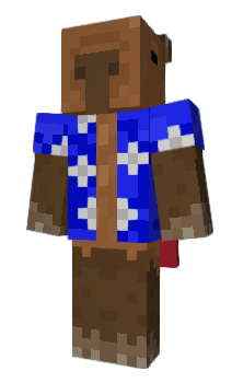 Minecraft skin 5358