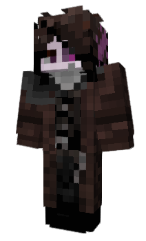 Minecraft skin bushidevil