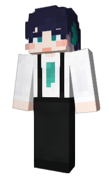 Minecraft skin 2PRO_