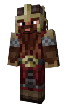 Minecraft skin Coinciding