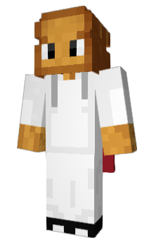 Minecraft skin Toast6