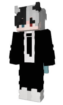 Minecraft skin Twiks_hw