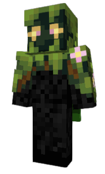 Minecraft skin CX80