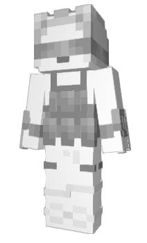 Minecraft skin SHNV_