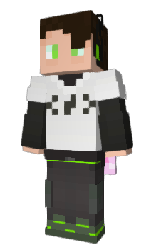 Minecraft skin timtaran