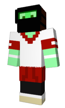 Minecraft skin flhs