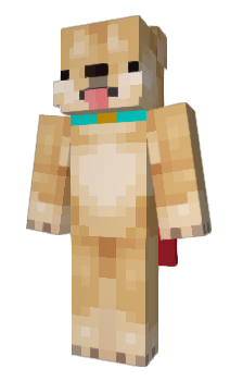 Minecraft skin Insar