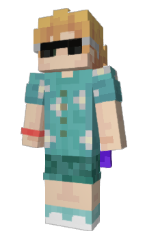 Minecraft skin semeone