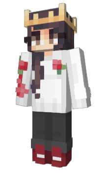 Minecraft skin MexMc
