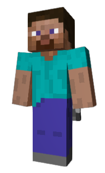 Minecraft skin vallett