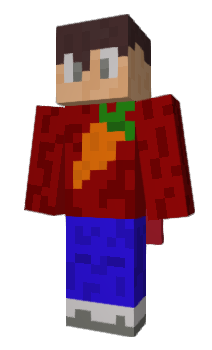 Minecraft skin Glass_Wood