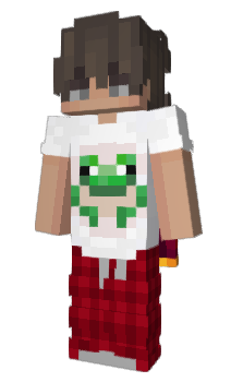 Minecraft skin spidis