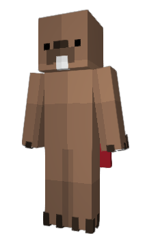 Minecraft skin CDSN