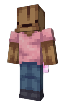 Minecraft skin Karobka