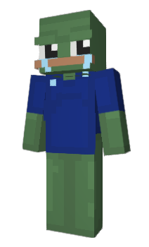 Minecraft skin Anzal