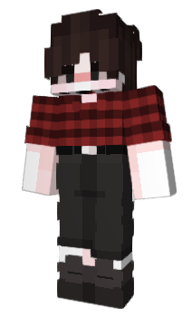 Minecraft скін по ніку MirzaAkin