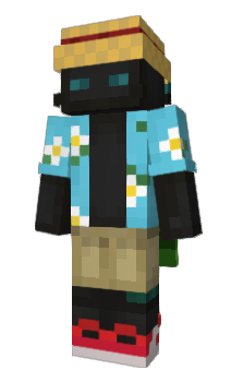 Minecraft skin Gatbo