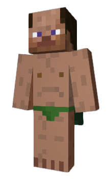 Minecraft скин по нику educarv