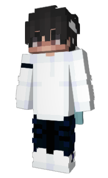 Minecraft skin Soksonik
