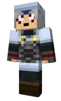 Minecraft skin Cookir