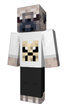 Minecraft скин по нику popo99