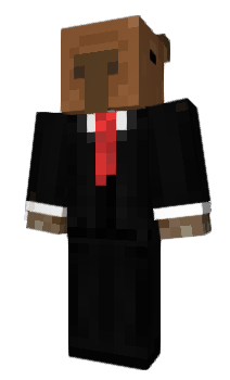 Minecraft skin Zklx