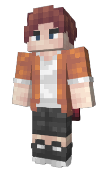 Minecraft skin Zenapad