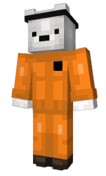 Minecraft skin CoolSap