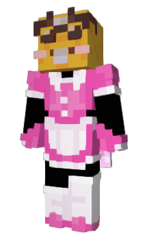 Minecraft skin MiniFer12