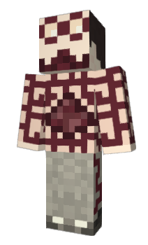 Minecraft skin TRS2