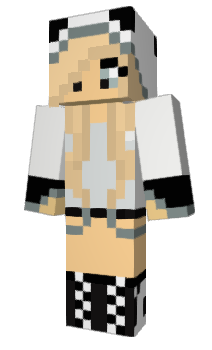 Minecraft skin Norizz