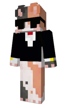 Minecraft skin supermeow