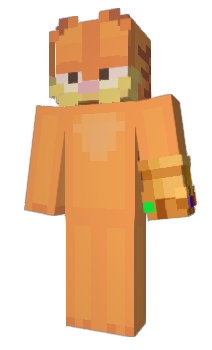 Minecraft skin HTTPError404