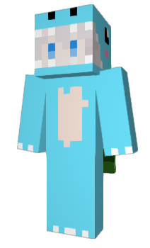 Minecraft skin CHwww