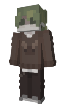 Minecraft skin sockv