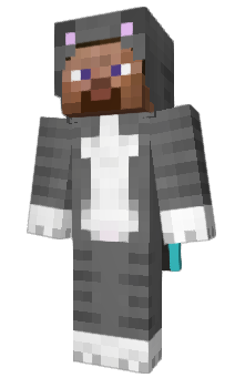 Minecraft skin llel