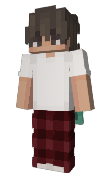 Minecraft skin V1ToN4IK