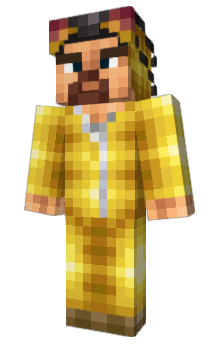 Minecraft skin Poxc