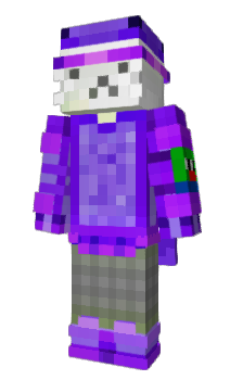 Minecraft skin Amipet228