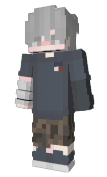 Minecraft skin wnkls